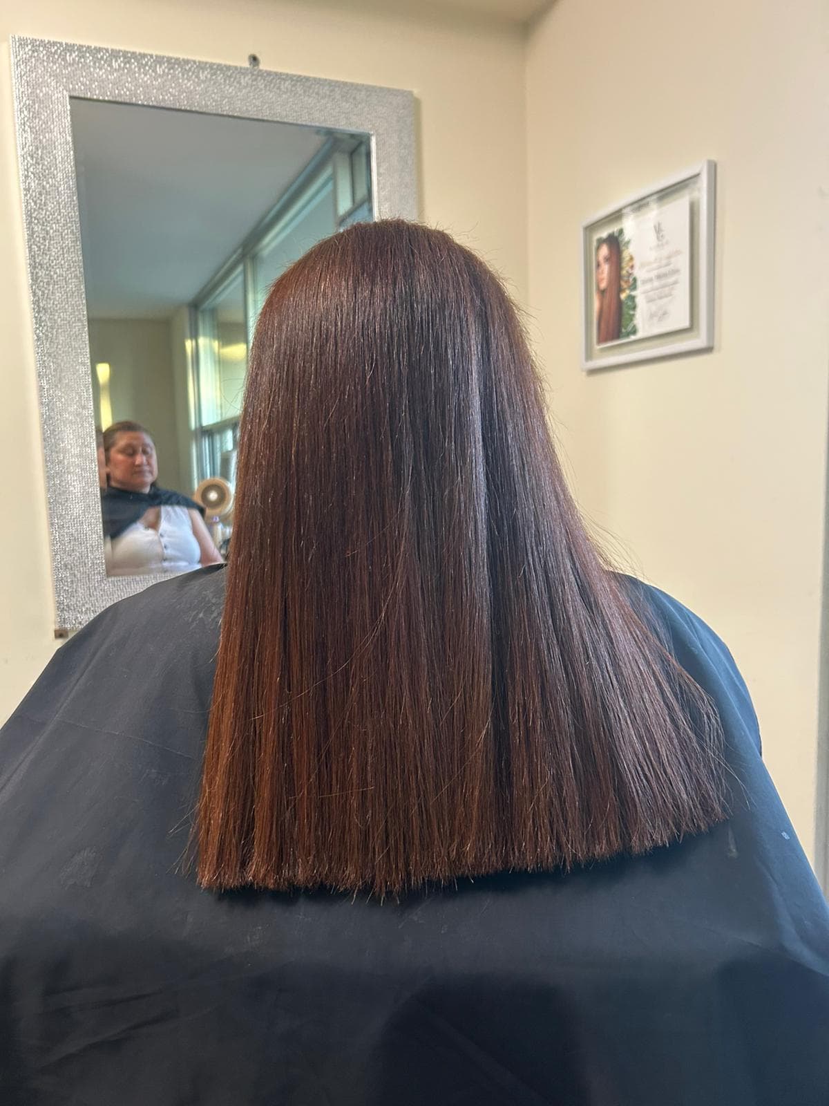Nanoplasty result: sleek chestnut hair with a polished, even finish